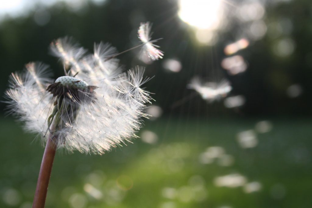 Life changes These therapies are about helping people change easily and effortlessly. They are all solution focused techniques and have been found to create change relatively quickly and have lasting positive effects.